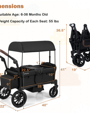 Double Seat Kids Wagon Stroller Foldable Toddler Push Pull Cart with Removable Canopy Storage Bag
